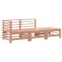 Set Divani Giardino 3pz con Cuscini Legno Massello di Douglas