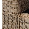 Divano a 2 Posti con Cuscini in Rattan Naturale